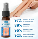 Spray Antivarizes VEINGUARD